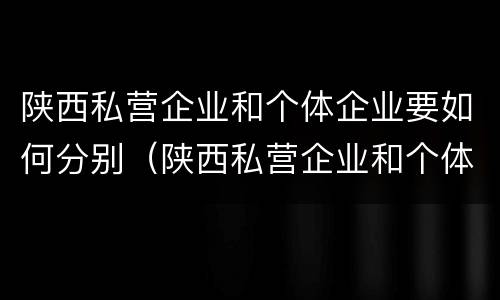 陕西私营企业和个体企业要如何分别（陕西私营企业和个体企业要如何分别纳税）