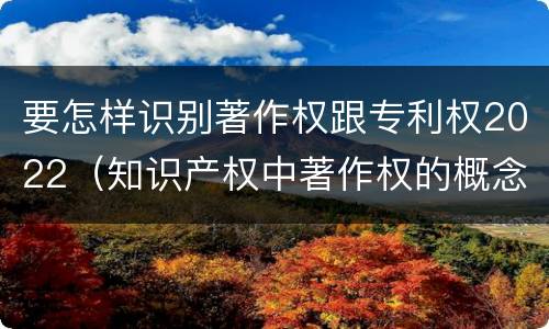 要怎样识别著作权跟专利权2022（知识产权中著作权的概念）