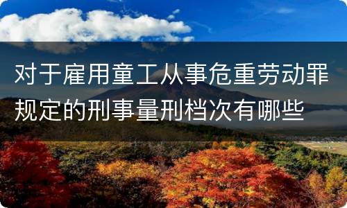 对于雇用童工从事危重劳动罪规定的刑事量刑档次有哪些