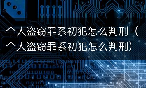 个人盗窃罪系初犯怎么判刑（个人盗窃罪系初犯怎么判刑）