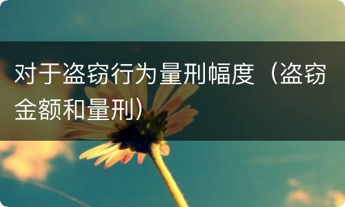 对于盗窃行为量刑幅度（盗窃金额和量刑）