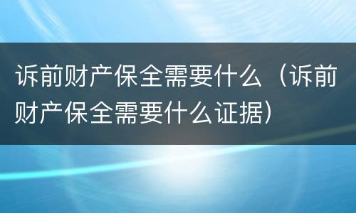 诉前财产保全需要什么（诉前财产保全需要什么证据）