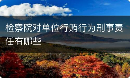 检察院对单位行贿行为刑事责任有哪些