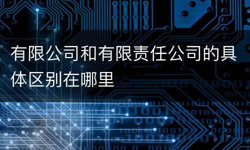 有限公司和有限责任公司的具体区别在哪里
