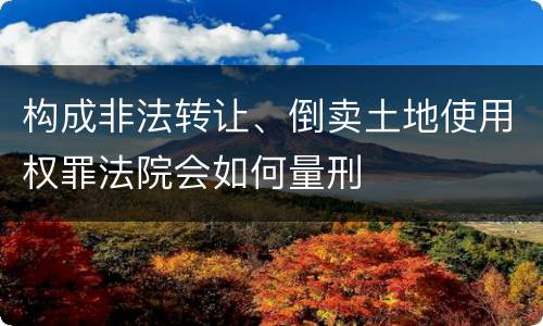 构成非法转让、倒卖土地使用权罪法院会如何量刑