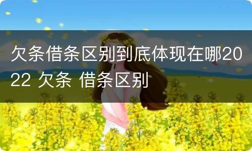 欠条借条区别到底体现在哪2022 欠条 借条区别