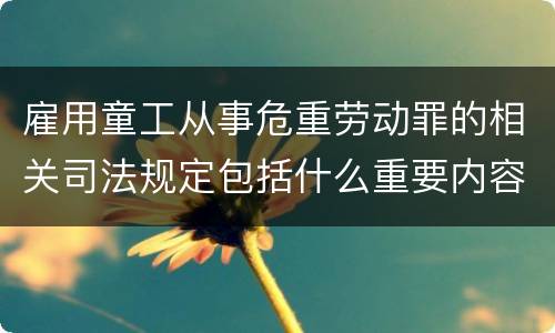 雇用童工从事危重劳动罪的相关司法规定包括什么重要内容
