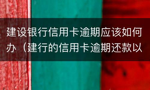 建设银行信用卡逾期应该如何办（建行的信用卡逾期还款以后多久能使用）