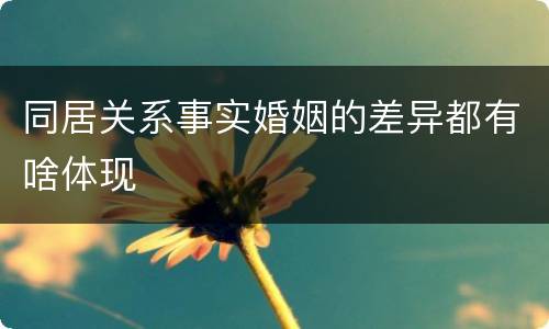 同居关系事实婚姻的差异都有啥体现