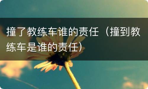 撞了教练车谁的责任（撞到教练车是谁的责任）
