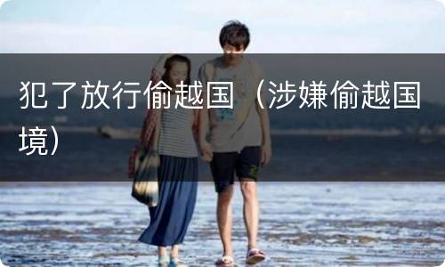 犯了放行偷越国（涉嫌偷越国境）