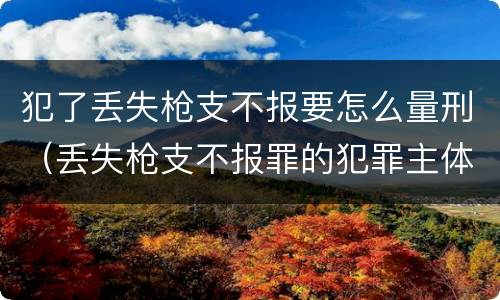 犯了丢失枪支不报要怎么量刑（丢失枪支不报罪的犯罪主体只能是什么）