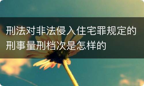刑法对非法侵入住宅罪规定的刑事量刑档次是怎样的