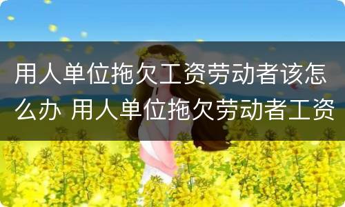 用人单位拖欠工资劳动者该怎么办 用人单位拖欠劳动者工资应承担什么法律责任