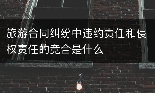 旅游合同纠纷中违约责任和侵权责任的竞合是什么