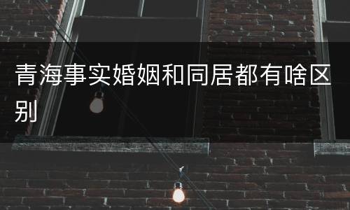 青海事实婚姻和同居都有啥区别
