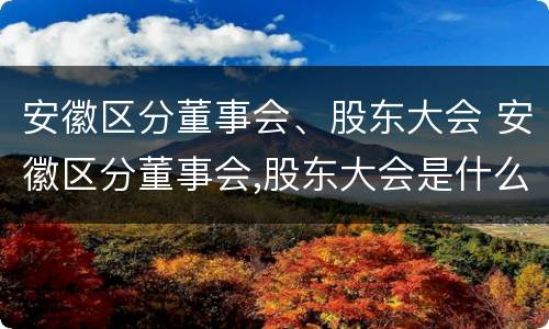 安徽区分董事会、股东大会 安徽区分董事会,股东大会是什么