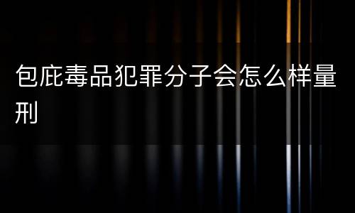 包庇毒品犯罪分子会怎么样量刑