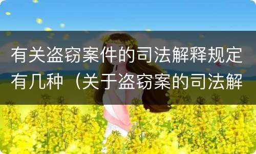 有关盗窃案件的司法解释规定有几种（关于盗窃案的司法解释）
