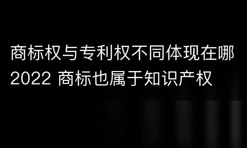 商标权与专利权不同体现在哪2022 商标也属于知识产权