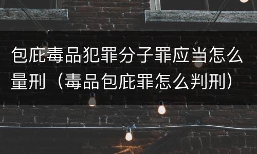 包庇毒品犯罪分子罪应当怎么量刑（毒品包庇罪怎么判刑）