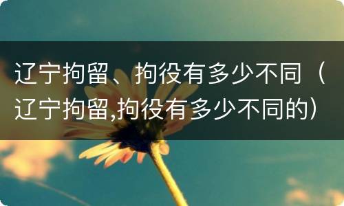 辽宁拘留、拘役有多少不同（辽宁拘留,拘役有多少不同的）