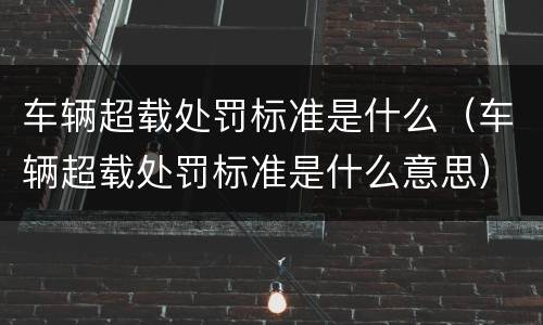 车辆超载处罚标准是什么（车辆超载处罚标准是什么意思）