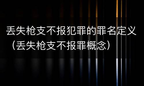 丢失枪支不报犯罪的罪名定义（丢失枪支不报罪概念）