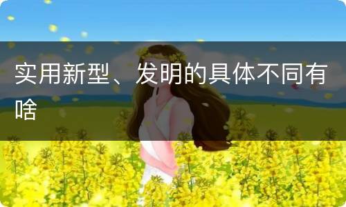 实用新型、发明的具体不同有啥