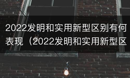 2022发明和实用新型区别有何表现（2022发明和实用新型区别有何表现和意义）