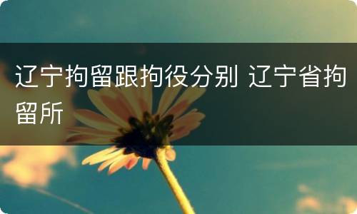 辽宁拘留跟拘役分别 辽宁省拘留所