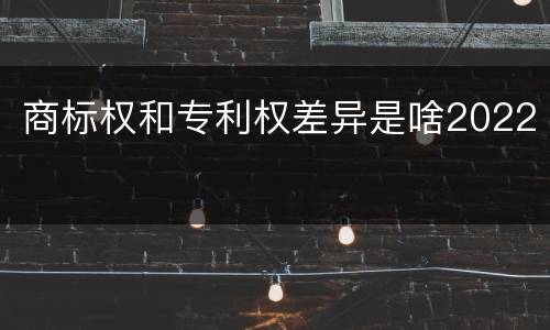 商标权和专利权差异是啥2022