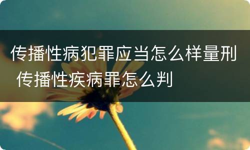 传播性病犯罪应当怎么样量刑 传播性疾病罪怎么判