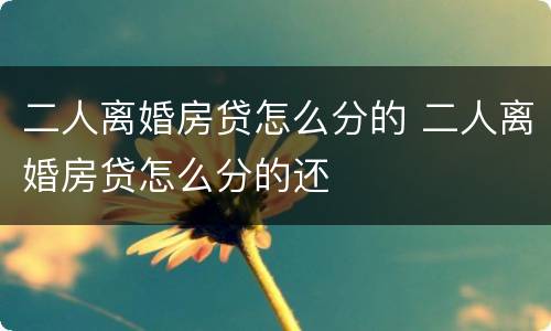 二人离婚房贷怎么分的 二人离婚房贷怎么分的还