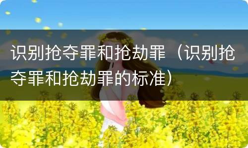 识别抢夺罪和抢劫罪（识别抢夺罪和抢劫罪的标准）