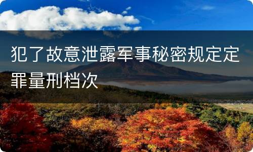 犯了故意泄露军事秘密规定定罪量刑档次