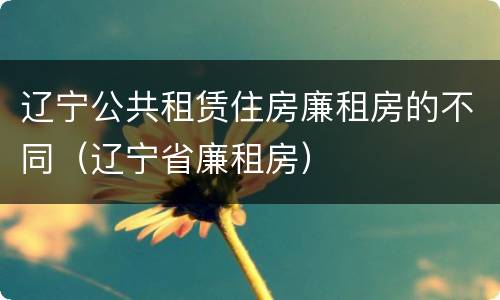 辽宁公共租赁住房廉租房的不同（辽宁省廉租房）