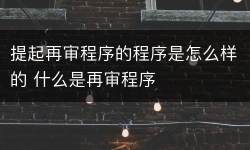 提起再审程序的程序是怎么样的 什么是再审程序