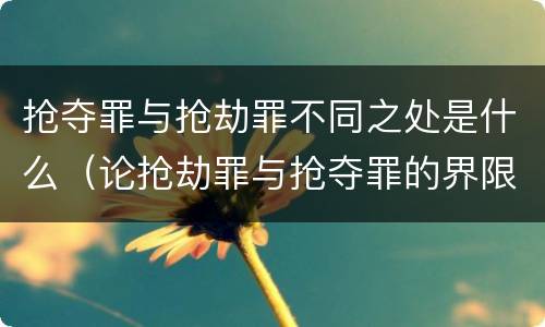 抢夺罪与抢劫罪不同之处是什么（论抢劫罪与抢夺罪的界限）