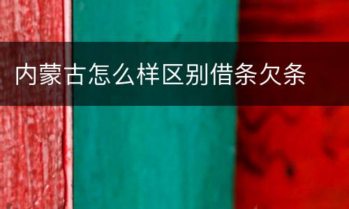 内蒙古怎么样区别借条欠条