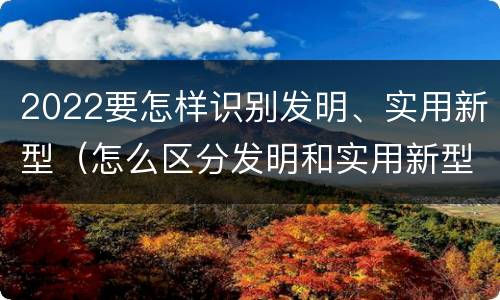 2022要怎样识别发明、实用新型（怎么区分发明和实用新型）