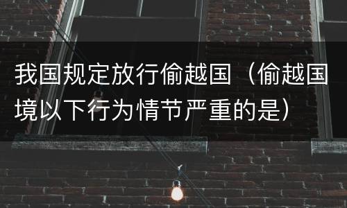 我国规定放行偷越国（偷越国境以下行为情节严重的是）