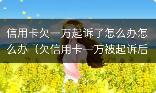 信用卡欠一万起诉了怎么办怎么办（欠信用卡一万被起诉后果会怎样）