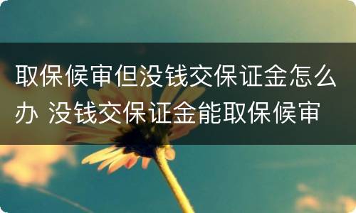 取保候审但没钱交保证金怎么办 没钱交保证金能取保候审