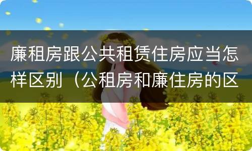 廉租房跟公共租赁住房应当怎样区别（公租房和廉住房的区别）