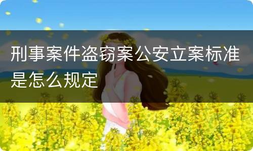 刑事案件盗窃案公安立案标准是怎么规定