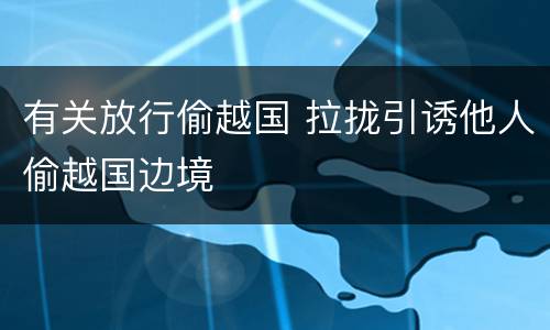 有关放行偷越国 拉拢引诱他人偷越国边境