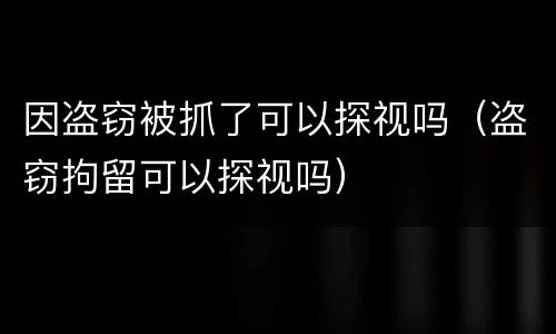 因盗窃被抓了可以探视吗（盗窃拘留可以探视吗）