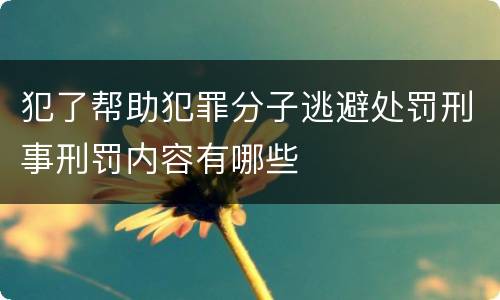 犯了帮助犯罪分子逃避处罚刑事刑罚内容有哪些