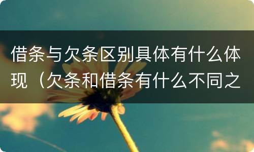 借条与欠条区别具体有什么体现（欠条和借条有什么不同之处）